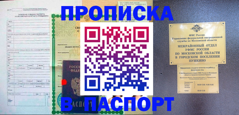 временная регистрация госуслуги в Удачном